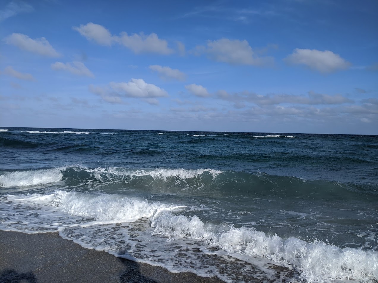 Figure 1: Boca Raton, FL - December 2019